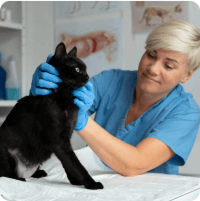 Horvath Daniella profilkep